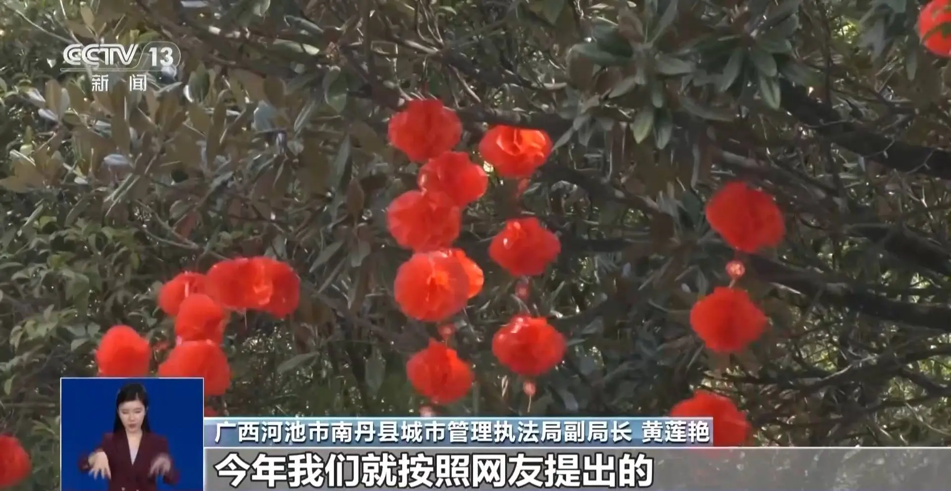春节灯笼悬挂新方式！广西网友的建议为何引发热议？  第1张