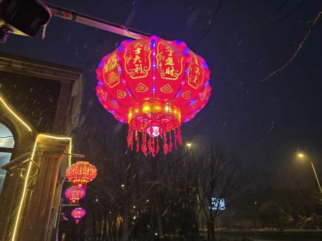 2025年第一场雪降临滨城！瑞雪兆丰年，今年会是幸福丰收的一年吗？  第2张
