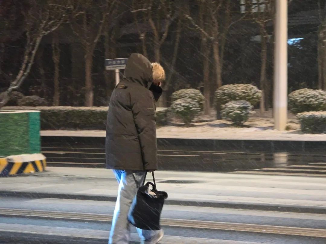 2025年第一场雪降临滨城！瑞雪兆丰年，今年会是幸福丰收的一年吗？  第6张