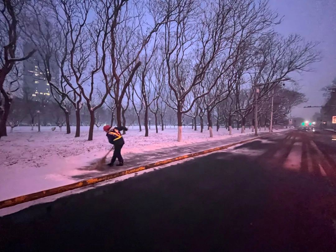 2025年第一场雪降临滨城！瑞雪兆丰年，今年会是幸福丰收的一年吗？  第7张