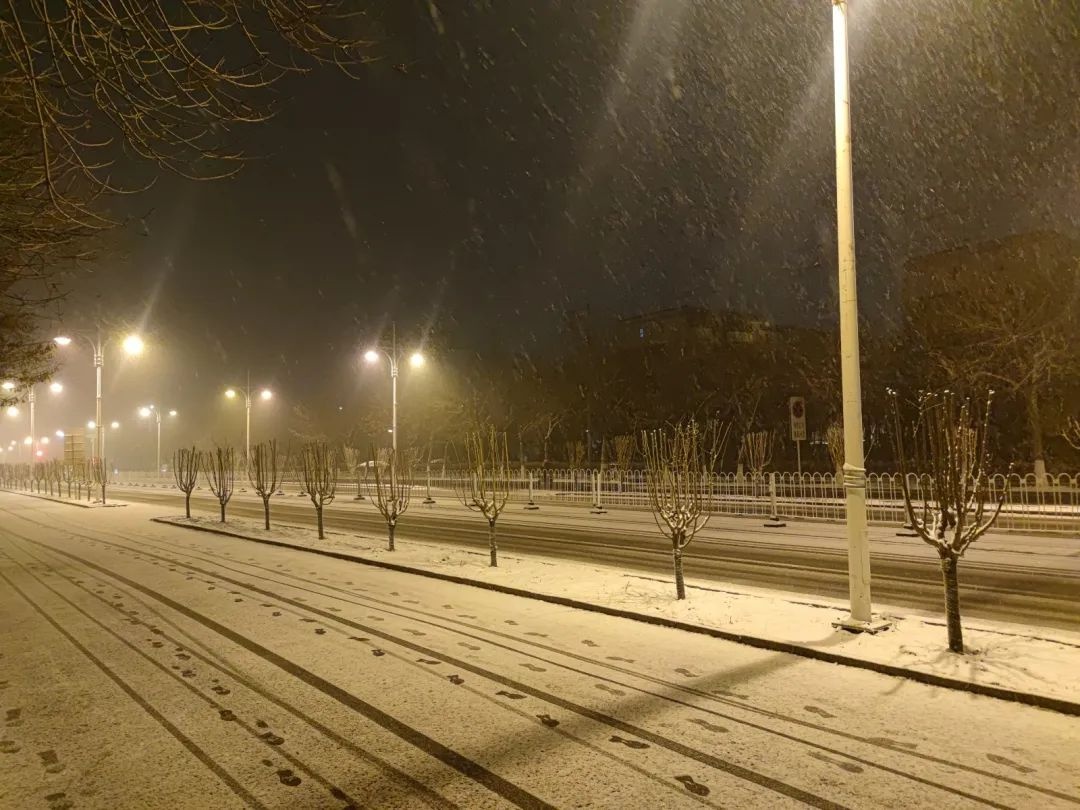 2025年第一场雪降临滨城！瑞雪兆丰年，今年会是幸福丰收的一年吗？  第9张