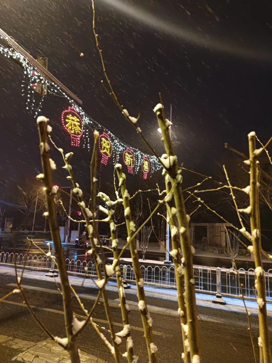 2025年第一场雪降临滨城！瑞雪兆丰年，今年会是幸福丰收的一年吗？  第10张