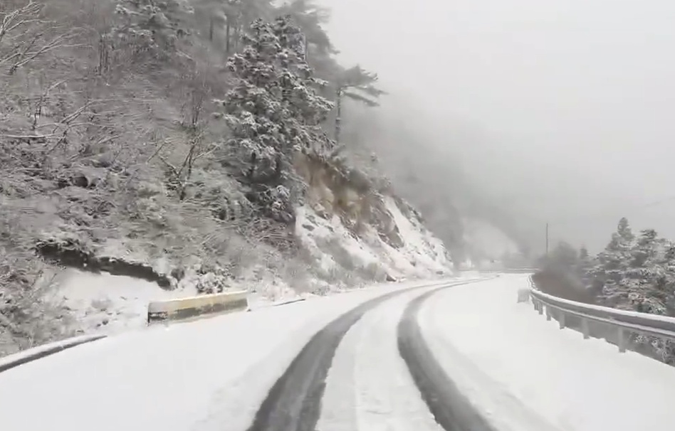 杭州山区突降大雪，太子尖积雪已达七八厘米！你准备好迎接这场冬日奇观了吗？  第4张
