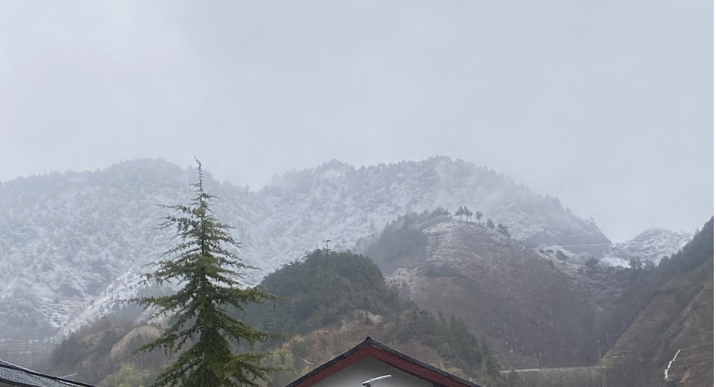 杭州山区突降大雪，太子尖积雪已达七八厘米！你准备好迎接这场冬日奇观了吗？  第6张