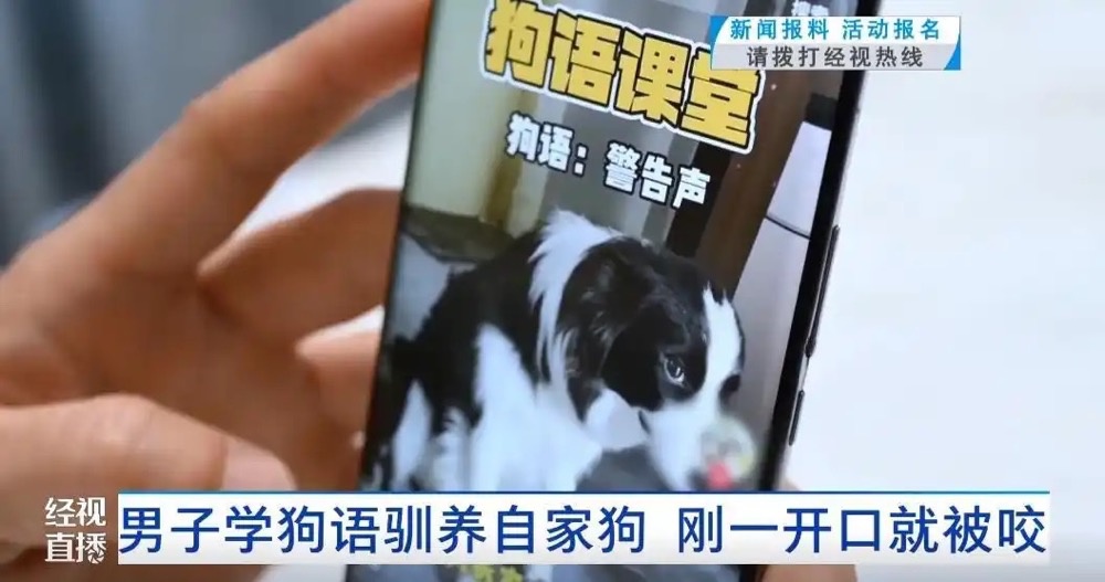 学狗语竟被爱犬咬伤！8厘米深伤口背后，宠物主人犯了什么致命错误？  第2张