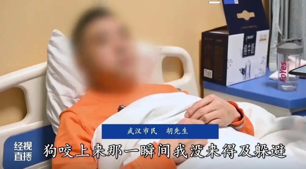 学狗语竟被爱犬咬伤！8厘米深伤口背后，宠物主人犯了什么致命错误？  第3张