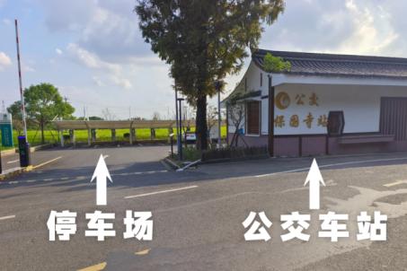 宁波节日出行必看！老外滩、万象城、来福士人潮汹涌，如何避开高峰？  第19张