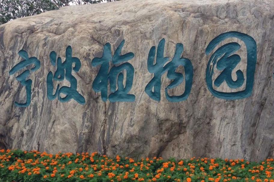 宁波节日出行必看！老外滩、万象城、来福士人潮汹涌，如何避开高峰？  第23张