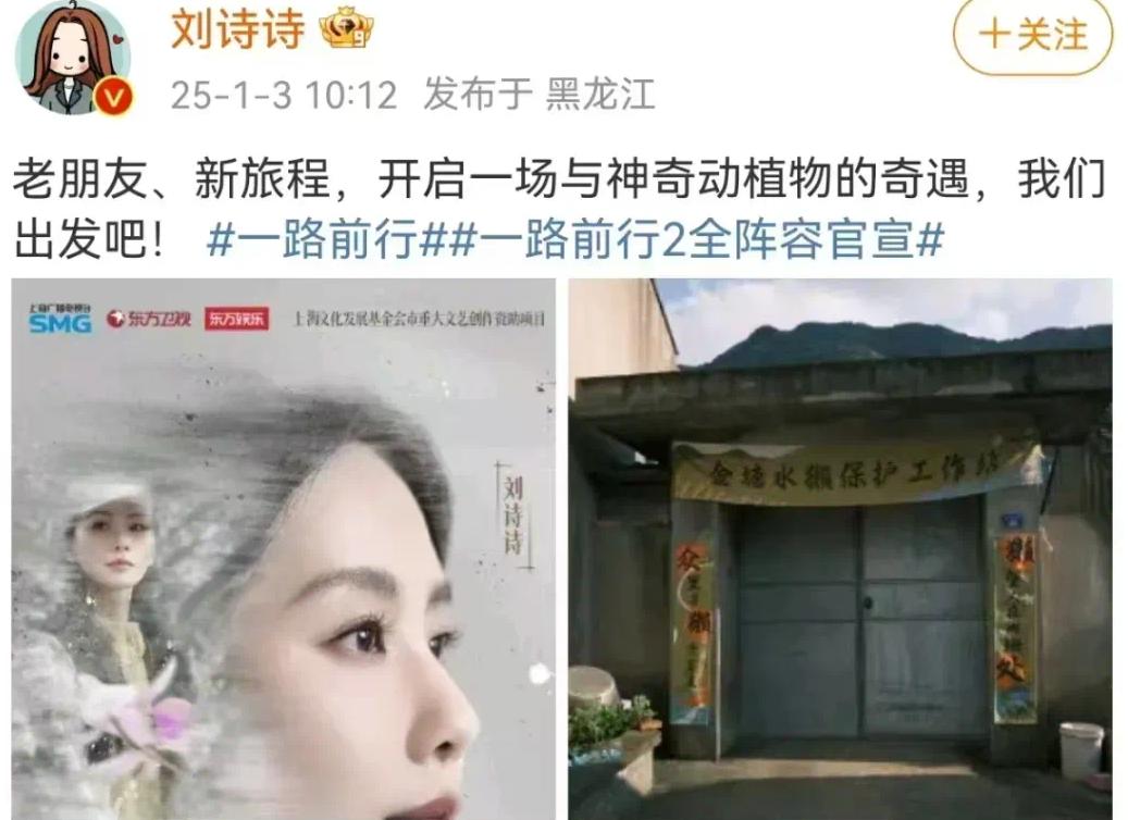 消失20年的水獭重现浙江！胡歌刘诗诗为何齐聚舟山守护？  第3张