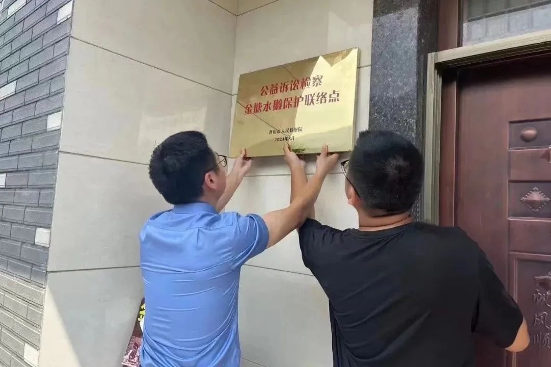 消失20年的水獭重现浙江！胡歌刘诗诗为何齐聚舟山守护？  第4张