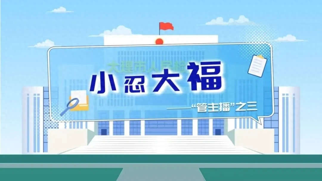 大理市检察院如何通过‘大体检’监管活动，确保每一个案件都高质效办结？