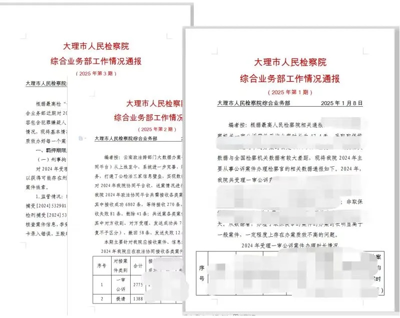 大理市检察院如何通过‘大体检’监管活动，确保每一个案件都高质效办结？  第5张