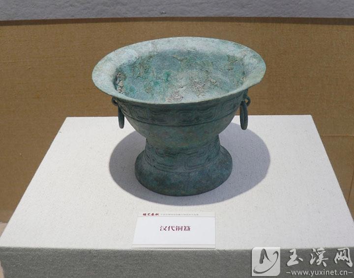 春节必看！玉溪市博物馆三大展览带你穿越时空，揭开恐龙足迹的奥秘  第2张