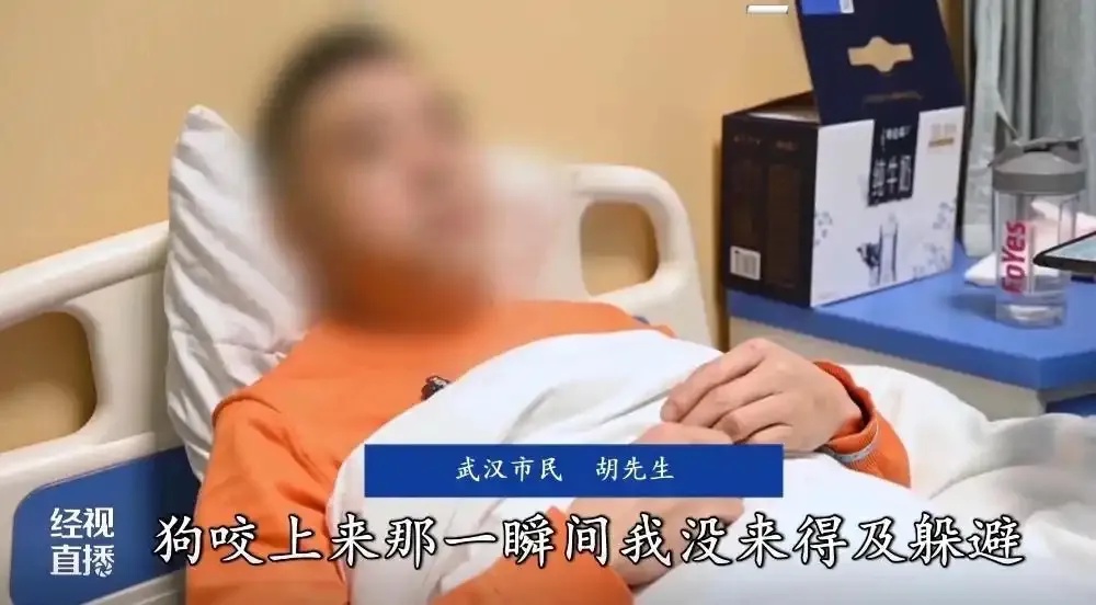 学狗语竟被自家爱犬咬伤！训狗真的这么难吗？  第3张