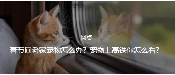 2025春运大揭秘：90亿人次大迁徙，火车票真的难抢吗？  第3张