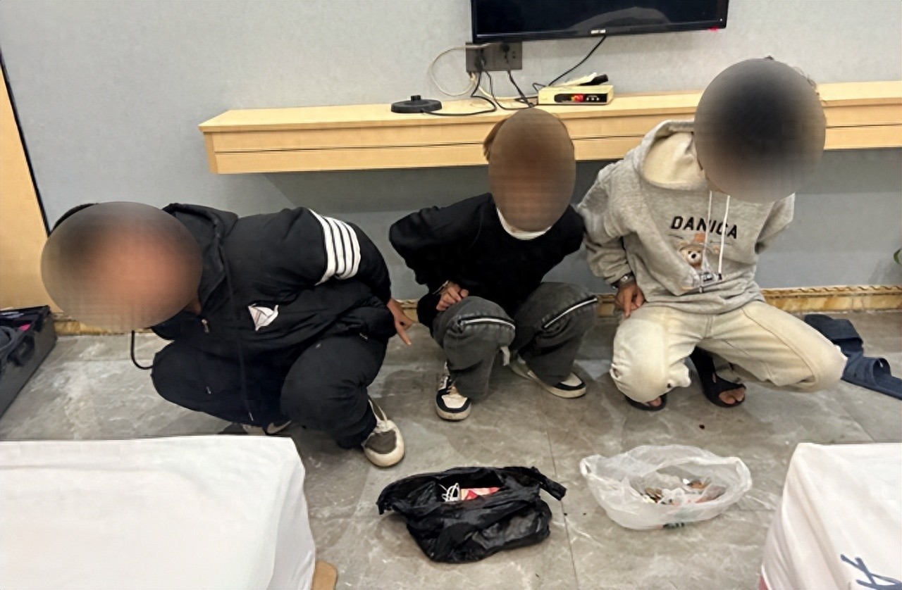 岁末年初，你的车门锁好了吗？惠州公安破获多宗拉车门盗窃案，10名嫌疑人落网  第1张