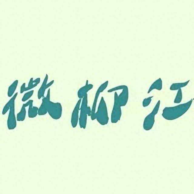 2025年柳江区少儿春晚震撼上演！35个节目、200多位小演员，你绝对不能错过的精彩瞬间  第1张