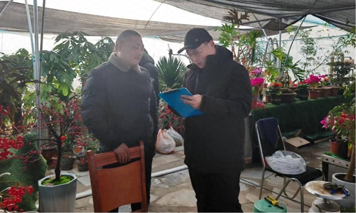 春节花卉市场大揭秘：临沭县如何确保年宵花卉市场繁荣？
