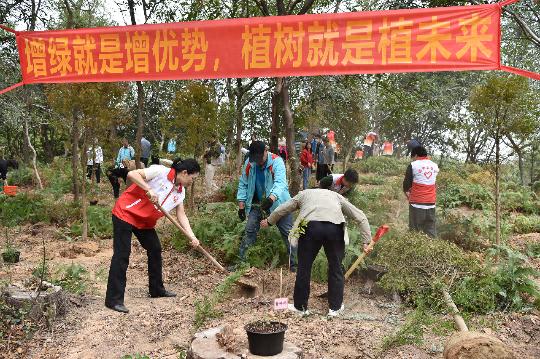你知道吗？番禺区大夫山森林公园竟种下2000株中药树，未来将带来怎样的惊喜？