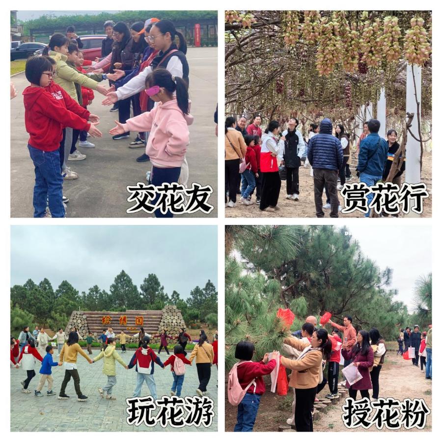 亲子家庭如何在红岭种子园体验一场别开生面的春日科普之旅？  第2张