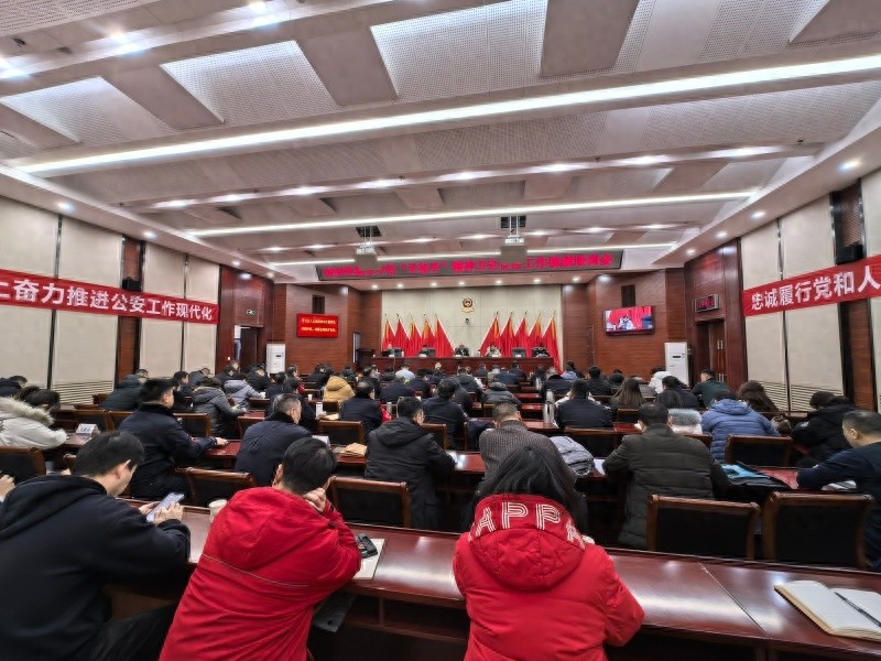 2025年手拉手精神卫生管控会：如何确保社会面管控与服务能力双提升？  第1张