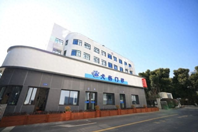 被宠物咬伤怎么办？上海市第八人民医院犬伤门诊为你保驾护航