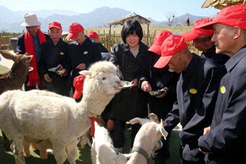 30余位特困老人游古城，他们究竟看到了什么令人惊叹的变化？  第1张