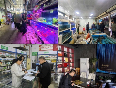 新乡市为何开展清风行动2025？野生动植物保护取得惊人成果  第2张