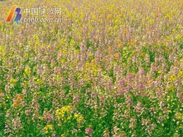 宁波天气大逆转！从33.8℃高温到冰雹暴雨，你准备好了吗？
