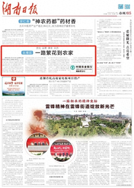 北塔区李子塘村桃花节为何如此火爆？赏花品果摘菜采药，一日吸引万人