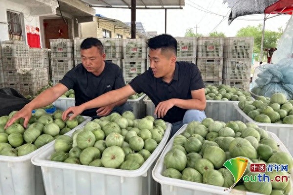 鱼台县如何用‘四重奏’体系点燃青年创业激情？揭秘年销售额1.6亿的秘密