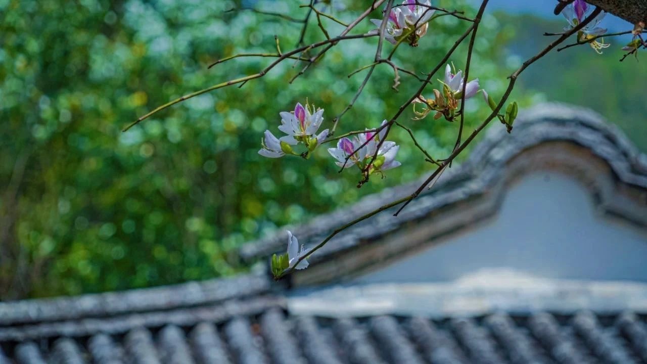 和顺古镇的春日时光，为何让人流连忘返？  第4张