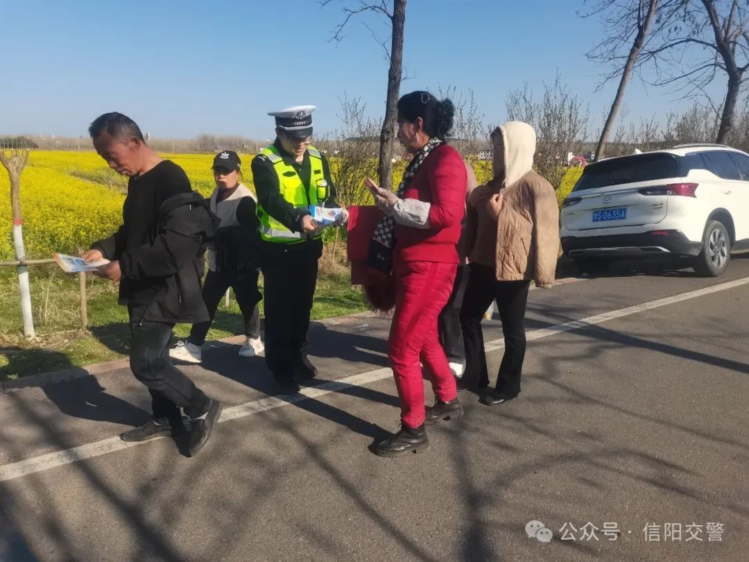 明港镇新集村油菜花海为何吸引2万游客？交警大队如何确保安全畅通？  第2张