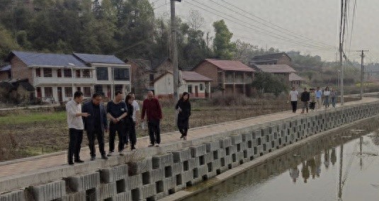 邵东市砂石镇政协委员如何为乌龙村侧水河流域带来生态巨变？