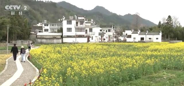 春天去哪儿玩？农业农村部推荐60条踏青赏花精品线路，189个绝美景点等你来  第2张
