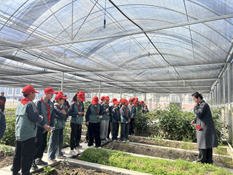 探索草本之谜，寻味中药之趣——镇坪县农科所的科普研学活动为何如此吸引学生？  第1张