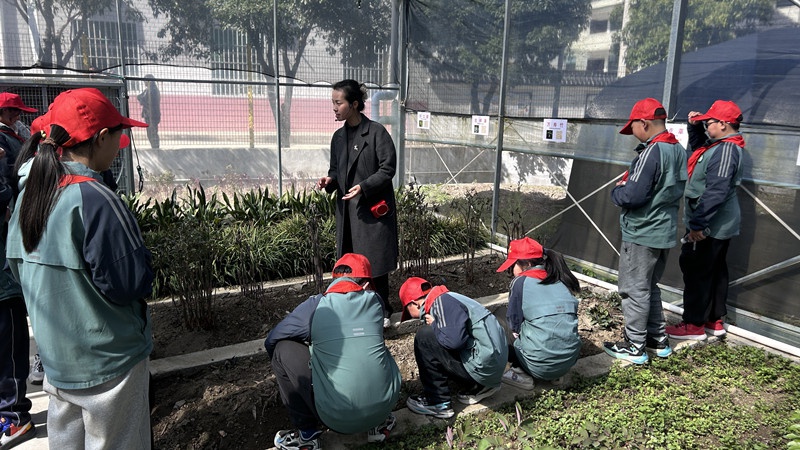 探索草本之谜，寻味中药之趣——镇坪县农科所的科普研学活动为何如此吸引学生？  第3张