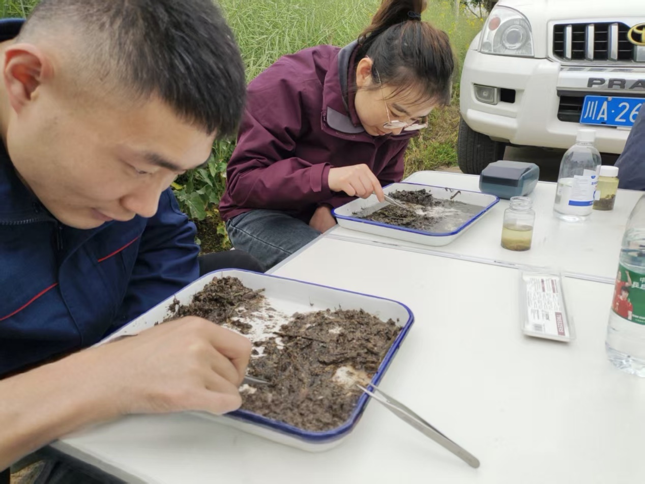 自贡市如何通过三级联动机制，全面提升水生态监测效率？  第2张