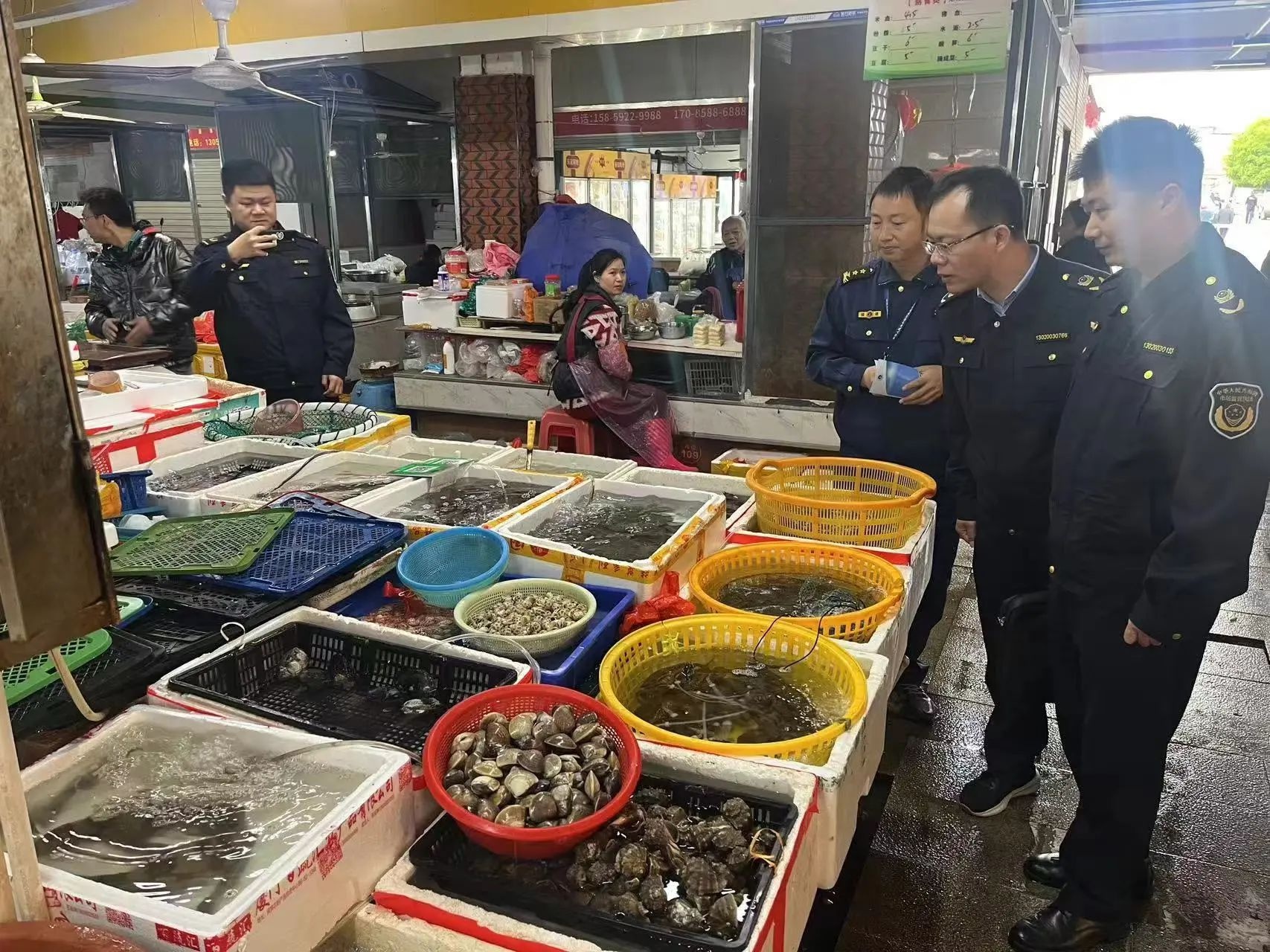 厦门海洋执法支队清风行动2025：严查严管，保护水生野生动物市场秩序  第3张