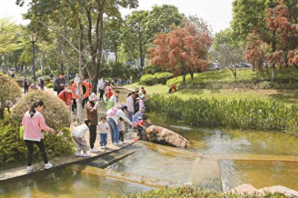 鹅颈水湿地公园惊现黑科技！市民惊叹水务变化，孩子乐翻天  第1张