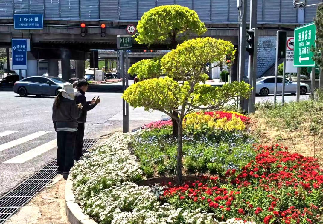 通州立交桥下竟变身市民幸福角！你家附近也有这样的小花园吗？
