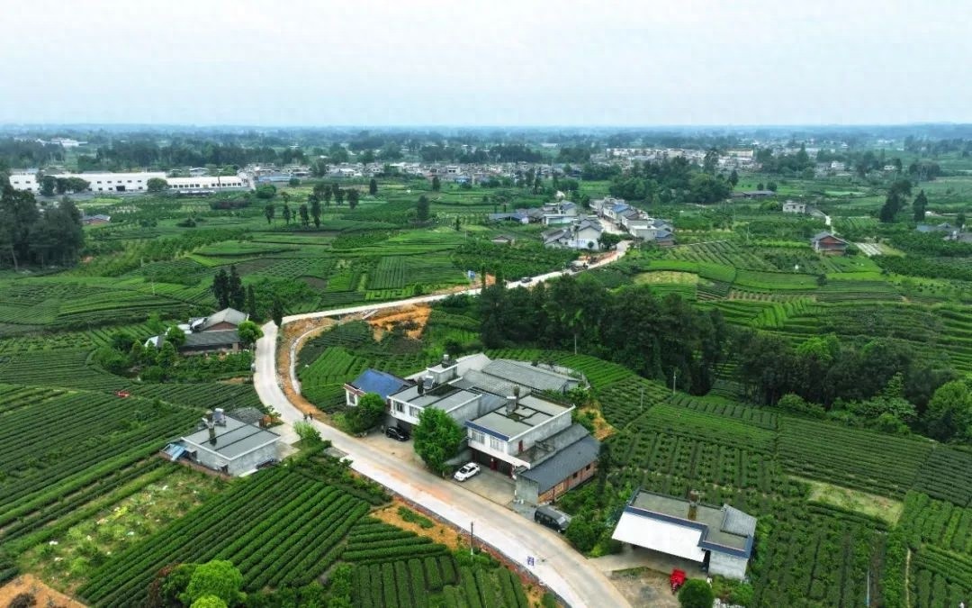 联马路改建工程开工！这条幸福美丽乡村路将如何改变你的出行？  第1张