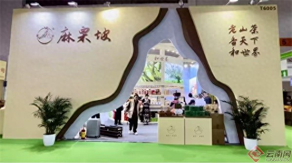 麻栗坡老山茶为何能成为北纬23°黄金产茶带上的璀璨明珠？  第1张