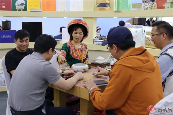 麻栗坡老山茶为何能成为北纬23°黄金产茶带上的璀璨明珠？  第3张