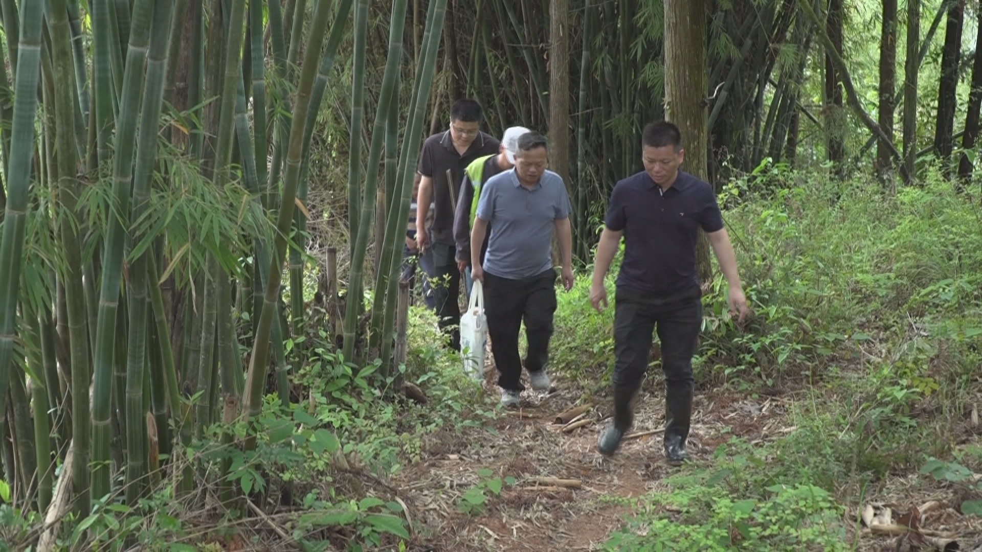 和平县自然资源局如何用专业行动守护群众生命财产安全？