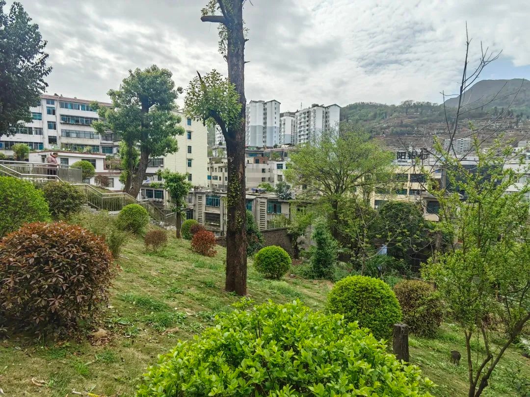 赫章口袋公园：城市喧嚣中的绿色宝石，你打卡了吗？  第3张