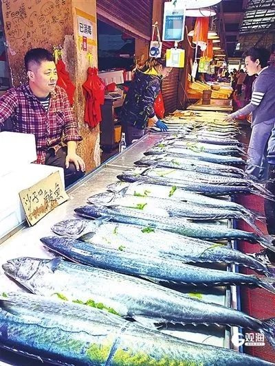 青岛鲅鱼价格暴跌！从55元到30元，你抢到了吗？