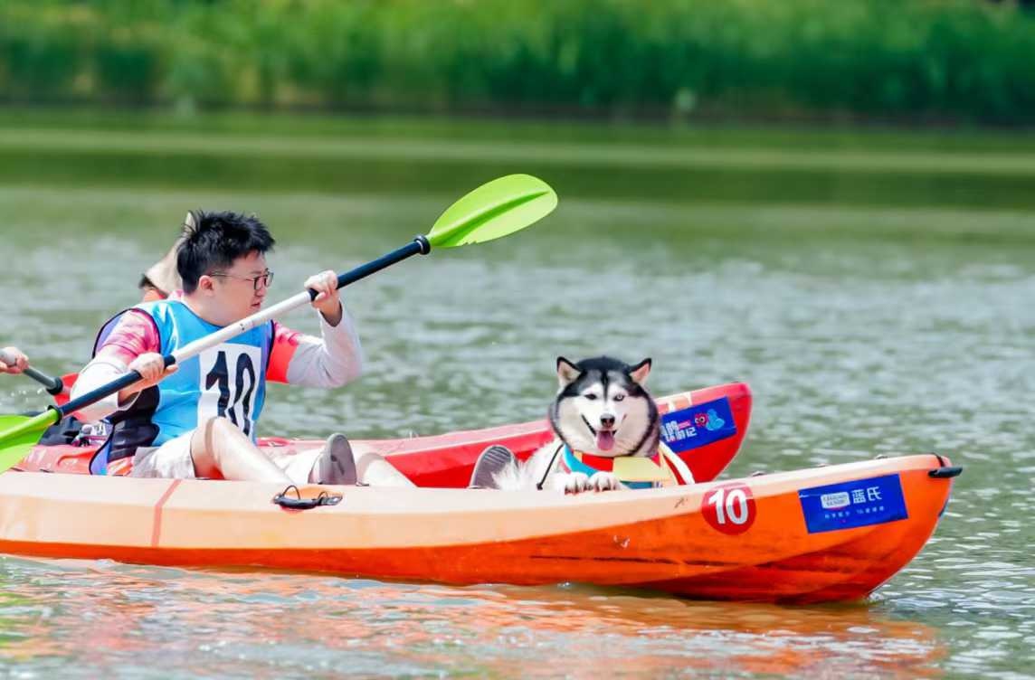 萌犬船员与皮划艇爱好者同场竞技，这场视觉盛宴你错过了吗？  第4张