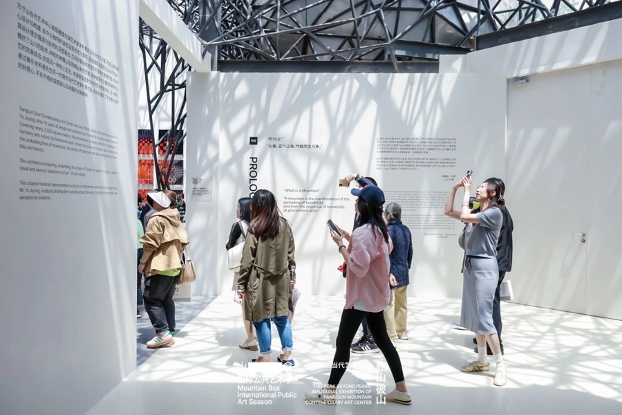 上海首个盲盒主题艺术社区开业！16栋商铺+2000㎡艺术中心，桃浦镇要火？  第4张