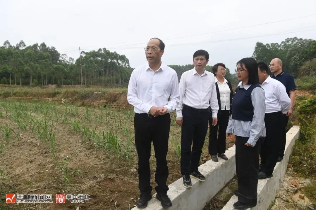 干群同心抗旱，这场甘霖为何如此珍贵？  第2张
